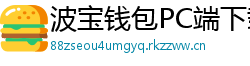 波宝钱包PC端下载